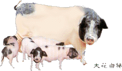 BLTP92.gif(18997�ֽ�)