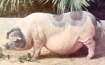 BLTP94.jpg(9892�ֽ�)