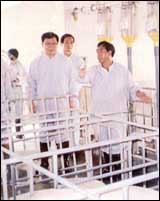 BLTP96.jpg (11362 �ֽ�)