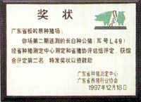 pai1.jpg (10766 �ֽ�)