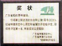 pai3.jpg (11544 �ֽ�)